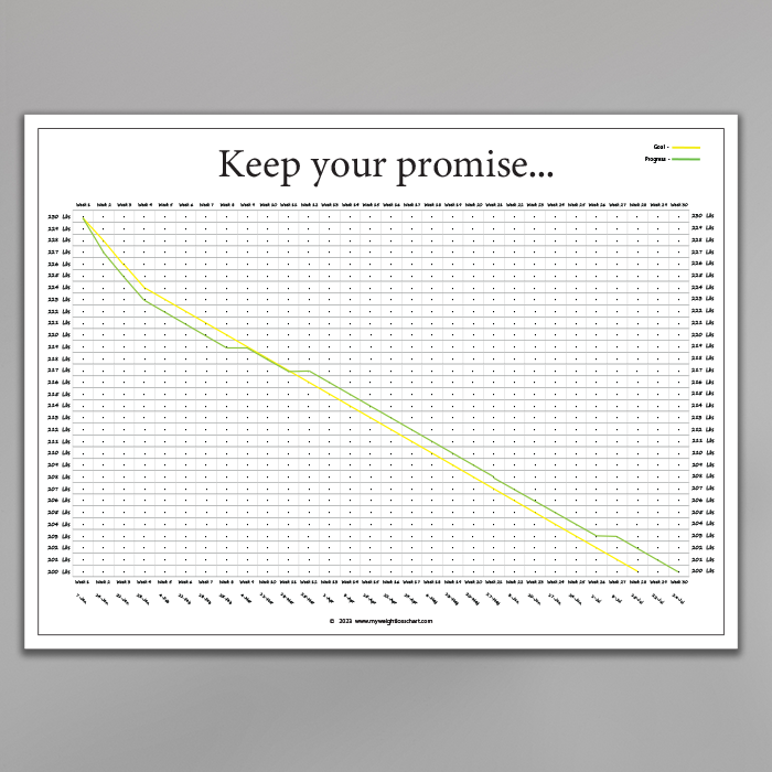 personalized weight loss chart